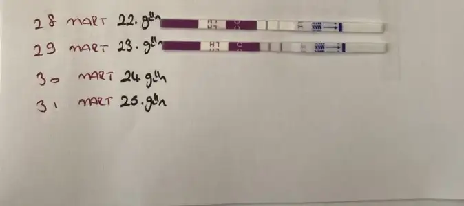 WhatsApp Image 2022-03-29 at 15.48.47.webp