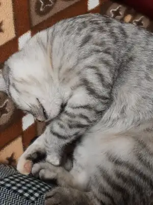 20220401_213329.webp