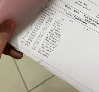 E053809B-1405-4375-B54C-73F11B48F908.webp