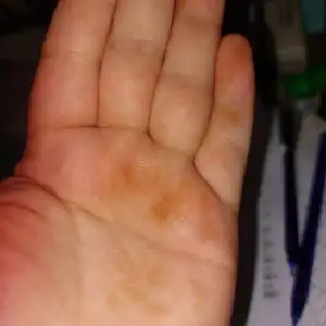 WhatsApp Image 2022-04-05 at 13.29.28.webp