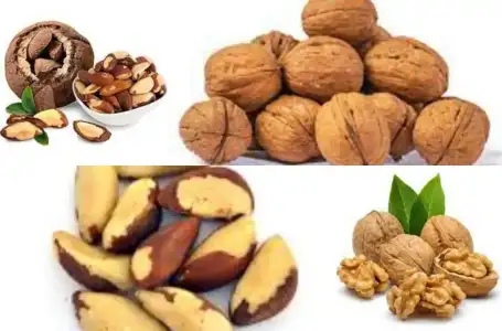 kuruyemis_ansiyete_kaygi_beslenme.jpg kuruyemis_ansiyete_kaygi_beslenme.jpg