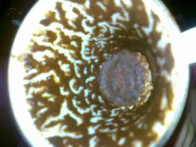 $120720121416.webp