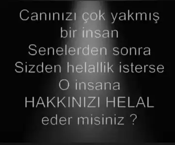 464A4E03-20B8-4419-99D6-76A33474D4B2.webp