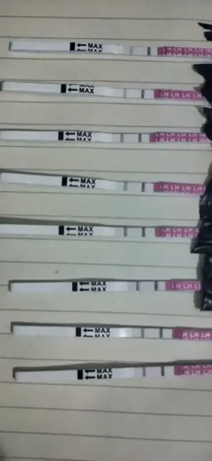 16500502334756305129958946860984.webp