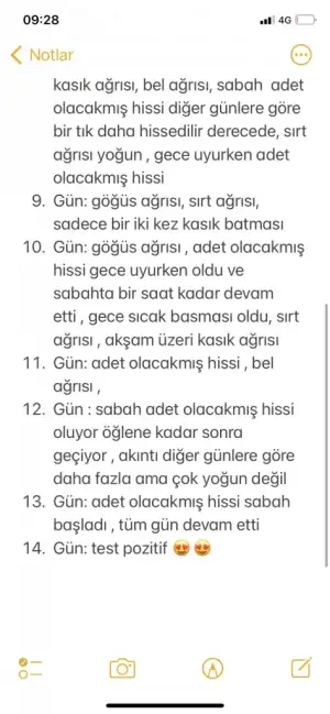 6626ED23-E74A-4D21-83F6-B327793CEB4A.webp