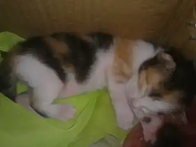 $100720129127.webp