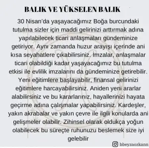 boğa2 (13).webp