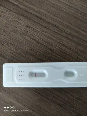 16508816622142670177230141590338 (1).webp