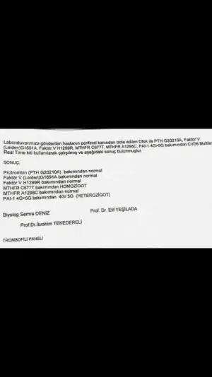 Screenshot_20220331-133607_Gallery.webp