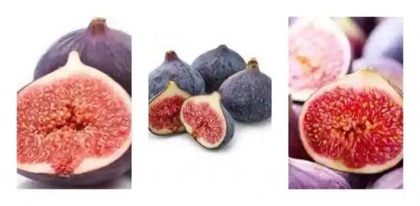 emzirme_doneminde_yenilmesi_gereken_meyveler.jpg emzirme_doneminde_yenilmesi_gereken_meyveler.jpg