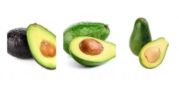 emzirme_donemi_avokado.jpg emzirme_donemi_avokado.jpg