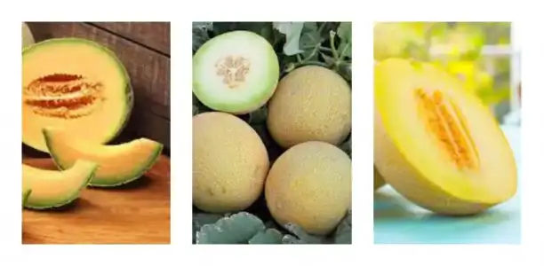 emzirme_doneminde_meyve_yemek.jpg emzirme_doneminde_meyve_yemek.jpg