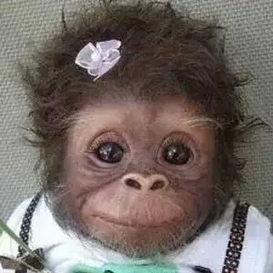1652560533344.webp
