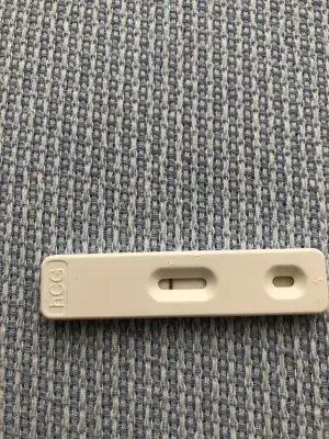 ADF26146-5DCA-428C-BD9A-EB0D3007E04B.webp