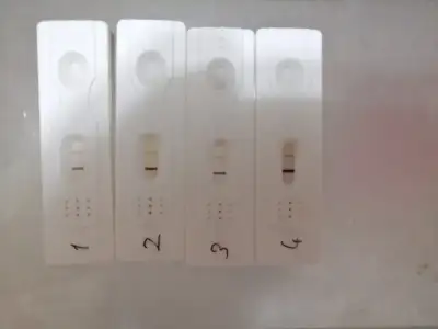 WhatsApp Image 2022-05-28 at 16.46.42.webp