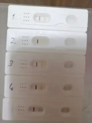 WhatsApp Image 2022-05-29 at 13.15.58.webp