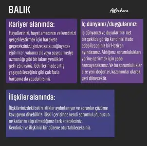 haz23 (13).webp