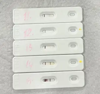 11DD9F08-DF26-4B0D-BFA8-CC4C0C50E442.webp