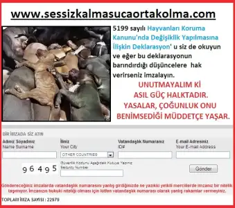 $SESS&#304;Z KALMA.webp