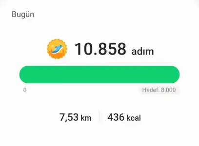 Screenshot_20220622-233352_Samsung Health.webp