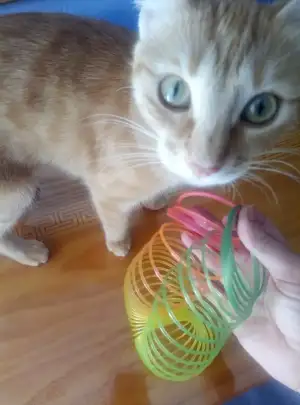 IMG_20220624_095801_1.webp IMG_20220624_095801_1.webp