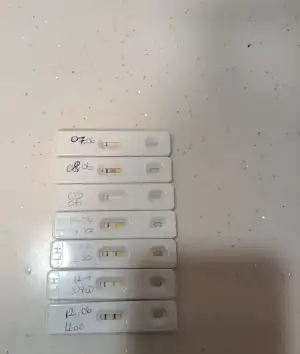 WhatsApp Image 2022-06-30 at 17.45.51.webp