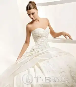 $359011_1.webp