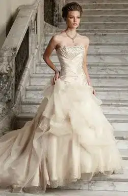 $359169_2.webp