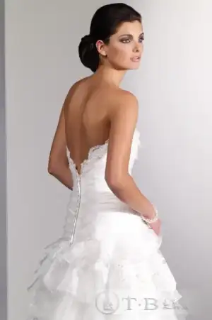 $359291_2.webp