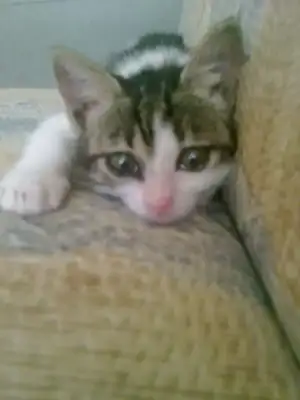 $210620122463.webp