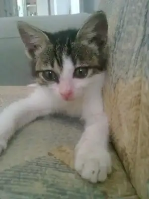 $210620122462.webp