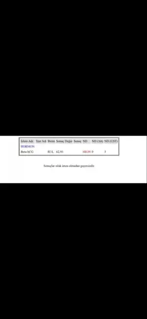 20C60056-6124-4F7C-9112-7E0FB9C5D4F5.webp
