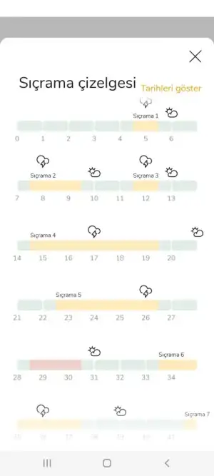 Screenshot_20220720-102515_The Wonder Weeks.webp
