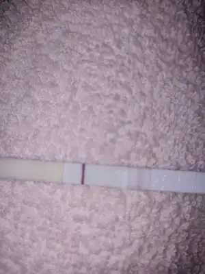 IMG-20220720-WA0014.webp