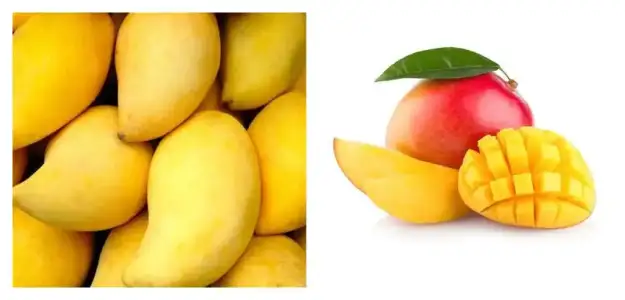 mango_vitamin_diyet_beslenme.jpg mango_vitamin_diyet_beslenme.jpg