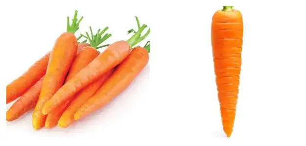 havuc_a_vitamini_diyet.jpg
