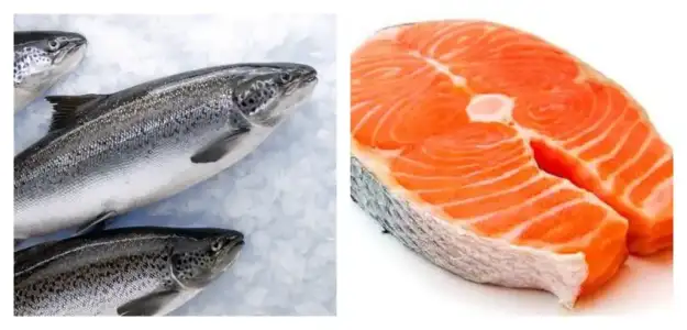 somon_baligi_a_vitamini.jpg somon_baligi_a_vitamini.jpg