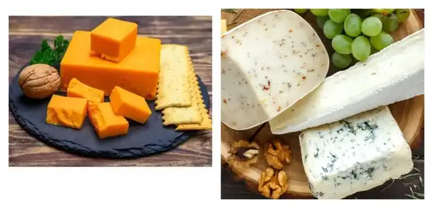 peynir_a_vitamini.jpg peynir_a_vitamini.jpg