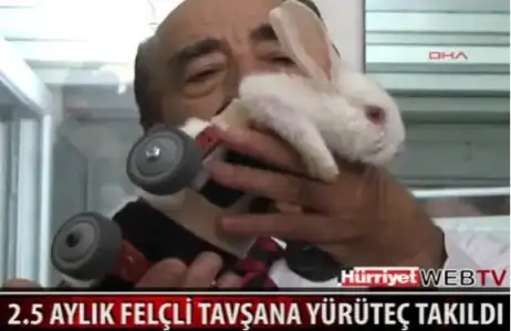 $tav&#351;an1.webp