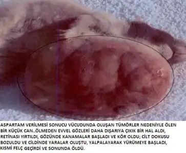 $3.11aspartametumor.webp