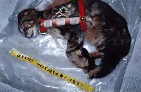 $POIUYT.webp