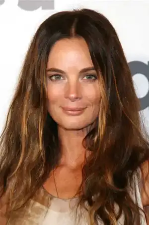 $gabrielle-anwar-messy-long-brunette-hairstyle-with-caramel-highlights.webp