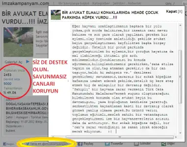 $&#304;MZA KAMPANYASI.webp