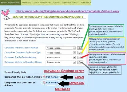 $peta.webp