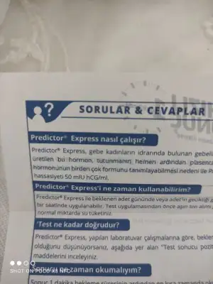 16595086086491590066470538564362.webp