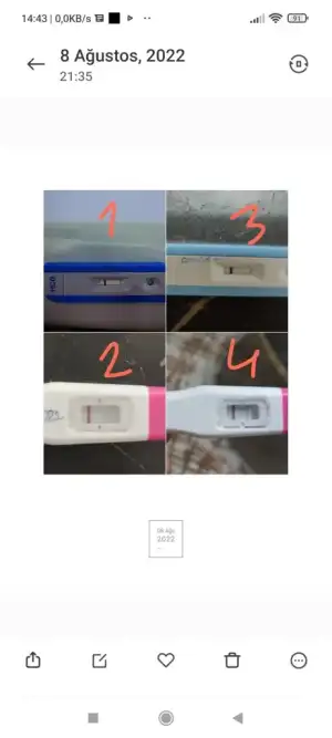 Screenshot_2022-08-14-14-43-11-770_com.miui.gallery.webp