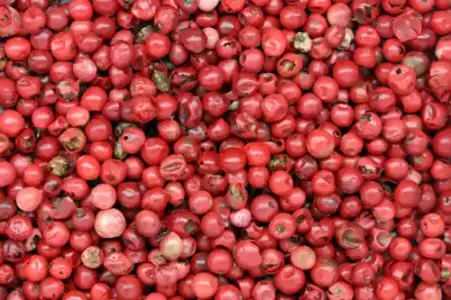 $20100610-pinkpeppercorns.webp