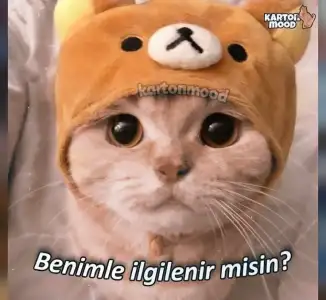 206dbe7f-0d67-4a57-b901-2ec794810385.webp