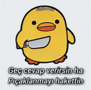 fbef6365-3bf4-4619-b95b-26da792cc5f4.webp