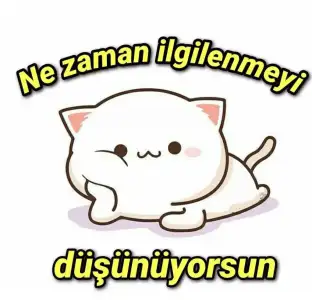 2ea87f94-115c-4964-949b-0a3ae5d316d4.webp